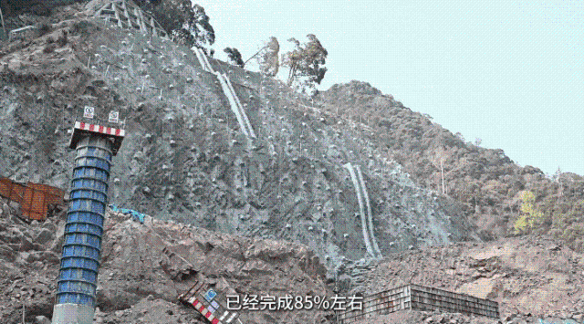 20250401_084239_008.gif